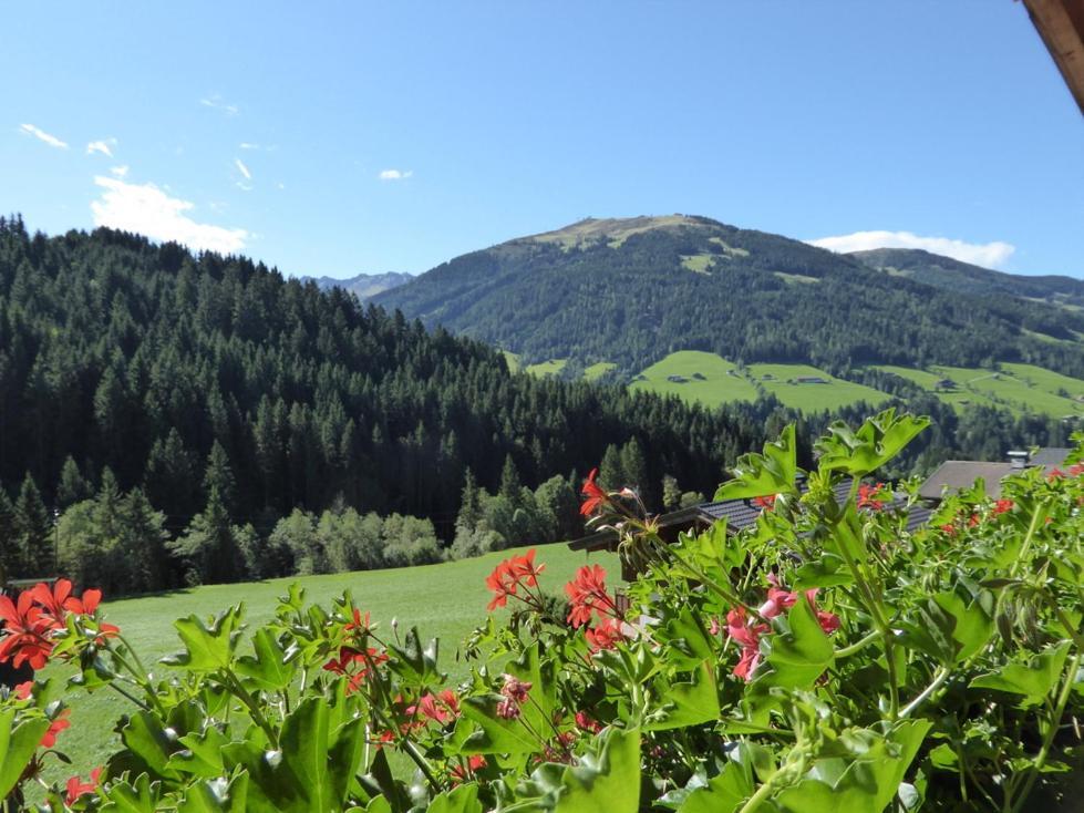 Alpbacher Appartementhaus Johannes Eksteriør bilde